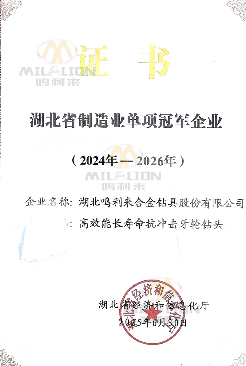 Hubei Provincial Manufacturing Industry Single Champion Enterprise